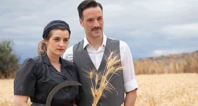 Ile odcinków ma serial Dzikie Pszczoły? Sprawdź pełną listę i sezony!