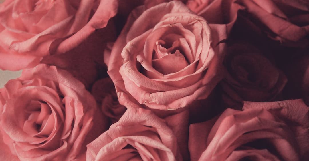 "Moje wielkie greckie wesele" - rola, która odkryła Michaela Cera